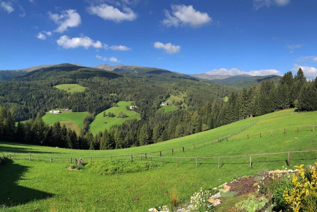 St Wolfgang-Kienberg - Ruhe Und Entspannung Mit Bester Aussicht Villa Obdach Exteriör bild
