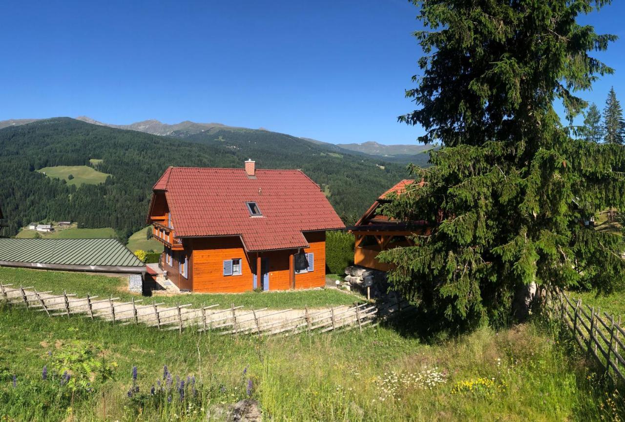 St Wolfgang-Kienberg - Ruhe Und Entspannung Mit Bester Aussicht Villa Obdach Exteriör bild